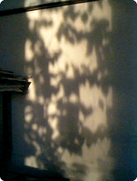 Sombras
