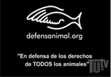 Visitar Defensa de la VIDA
