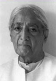 Visitar Útimo Diario Krishnamurti