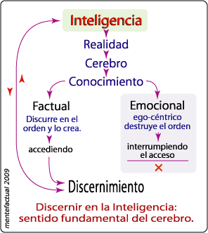 Inteligencia y Discernimiento