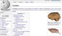 Visitar Cerebro en WikipediA
