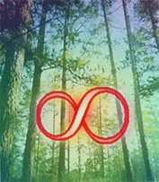De la Naturaleza al Infinito