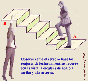 Ilusión Óptica polar