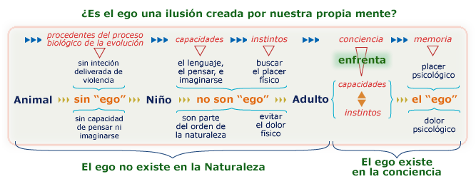 Visitar Artículo ¿Es el ego una ilusión? por el Prof. P. Krishna