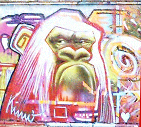 El Gorila por KIMO