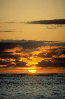 EL SILENCIO DEL ATARDECER