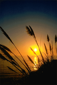 EL SILENCIO DE LA PUESTA DE SOL